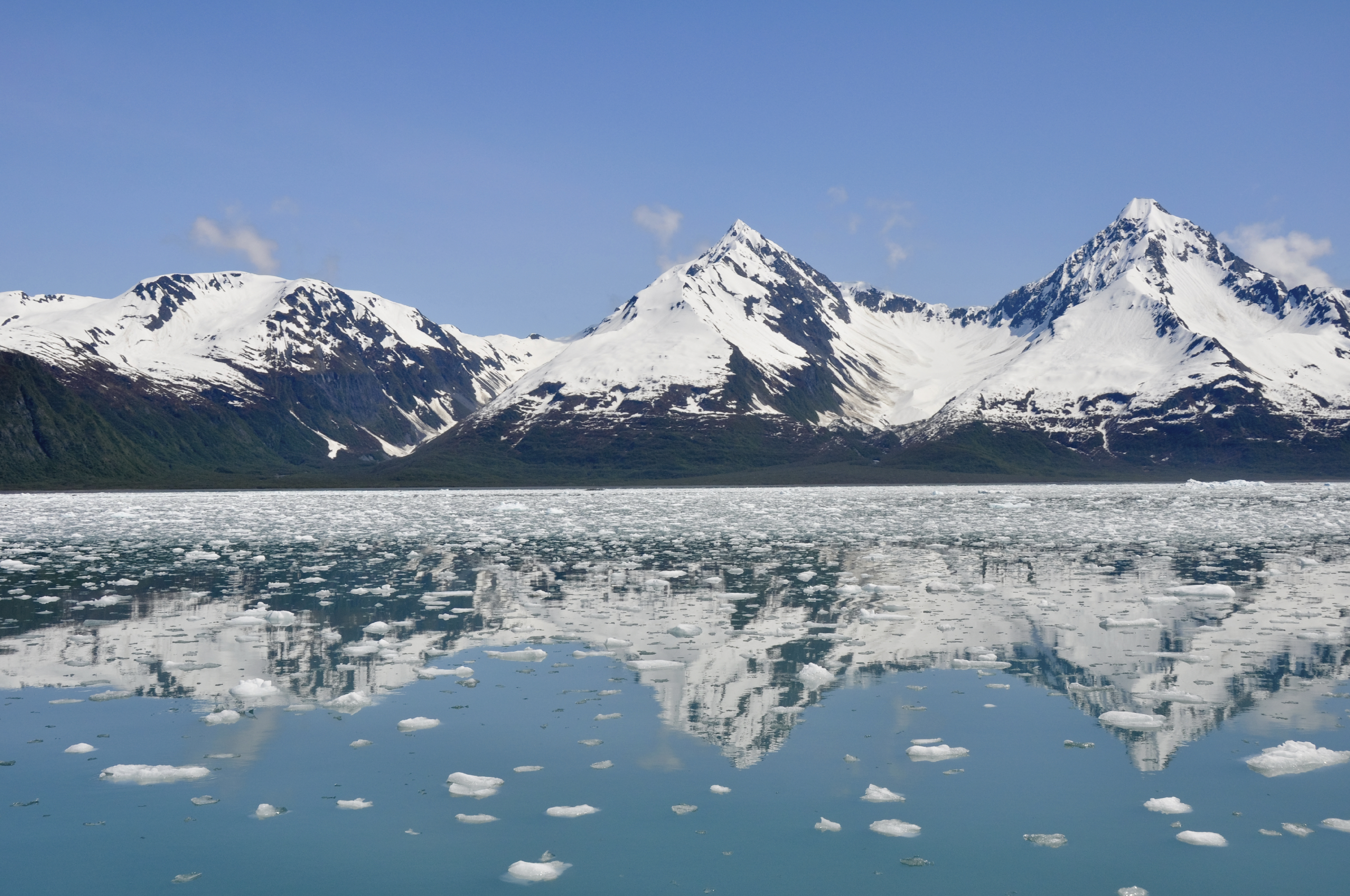 Alaska - Glacier Bay Itinerary Review | ShermansTravel