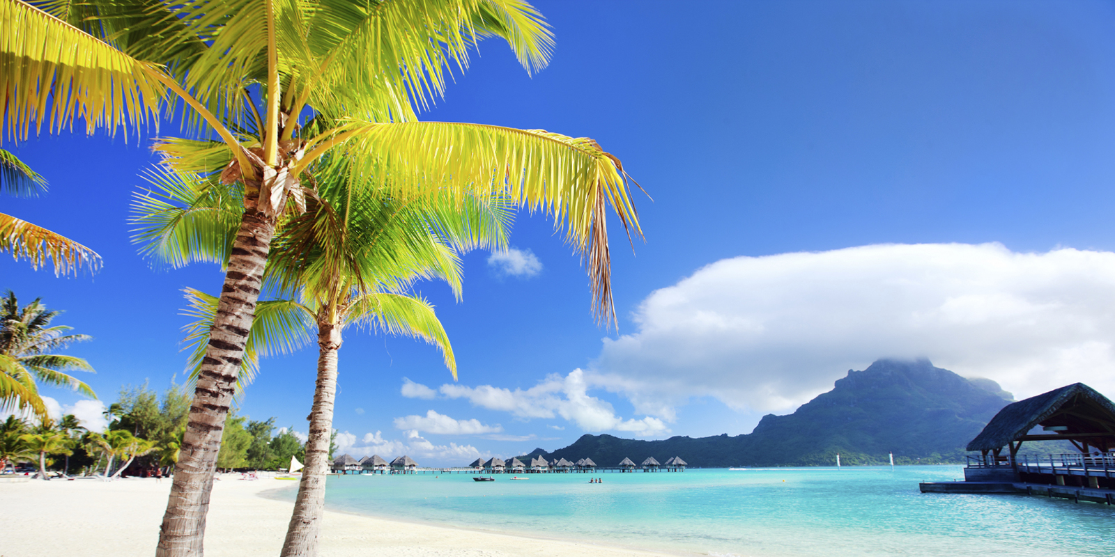 How to Cruise to Bora Bora