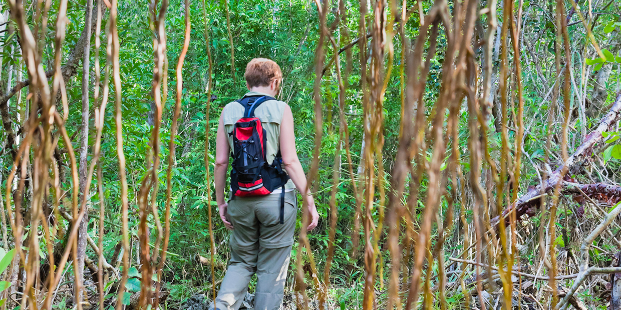 10 Great Hikes in the Caribbean ShermansTravel