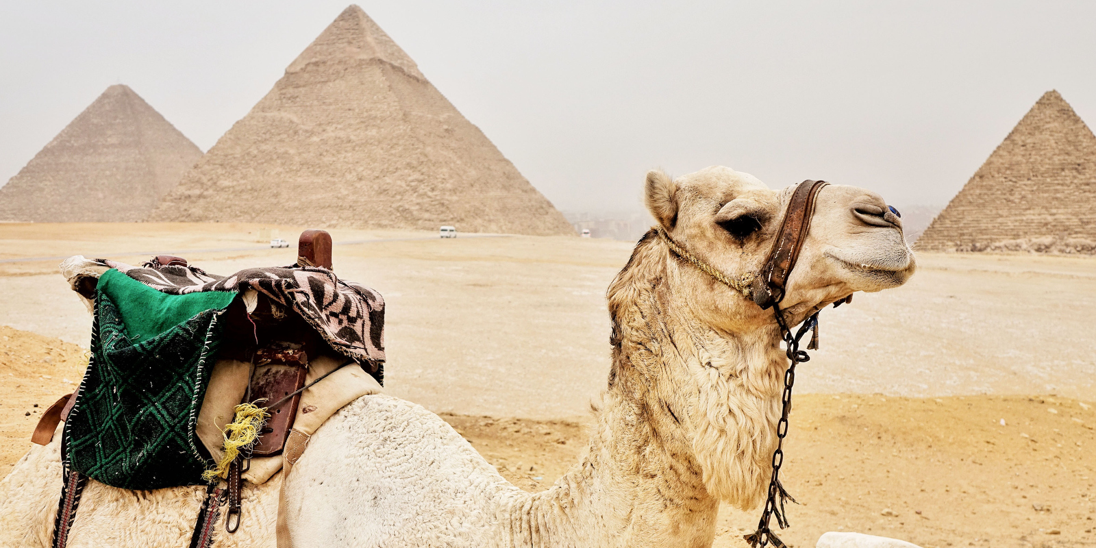 10 Awesome Sights On Egypt Cruises