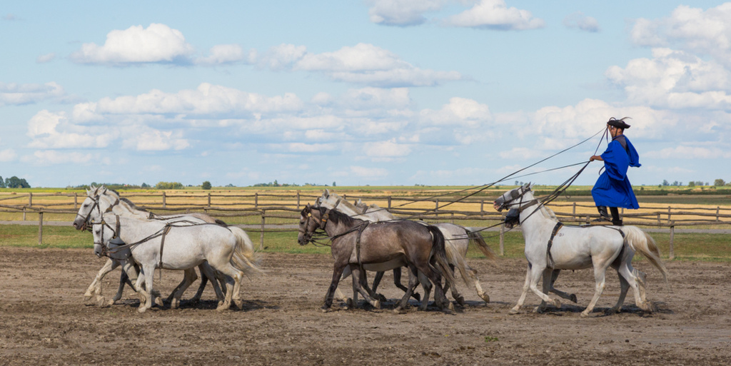 Kalocsa, Hungary ShermansTravel